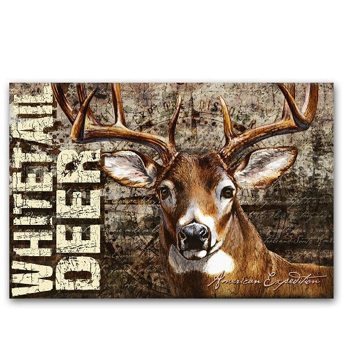 American Expedition Whitetail Deer Graphic Canvas Art