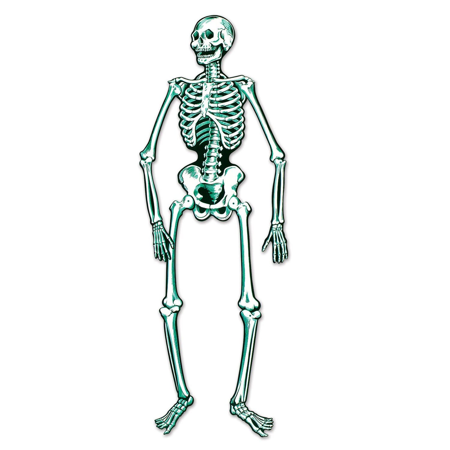 Beistle Jointed Skeleton, 55 in - Party Supply Decoration for Halloween