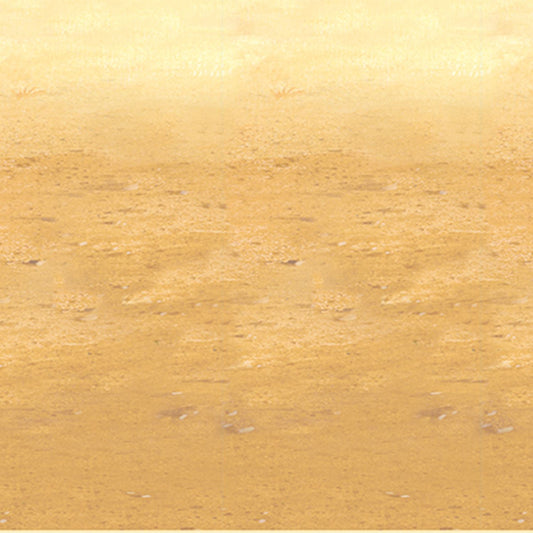Beistle Desert Sand Backdrop 4' x 30' (1/Pkg) Party Supply Decoration : Western