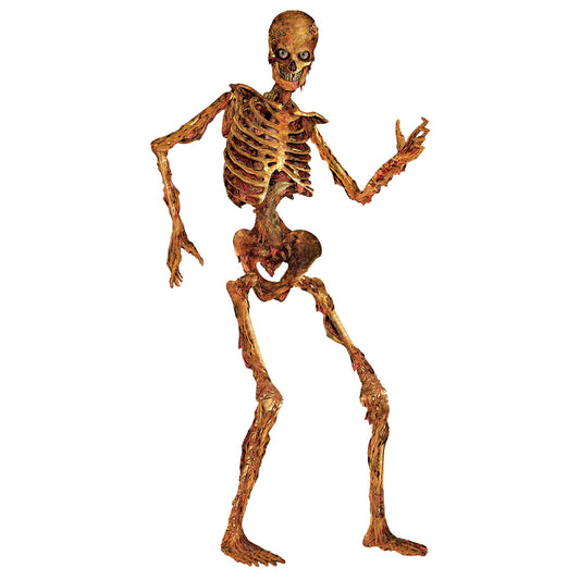 Beistle Jointed Skeleton, 6 ft - Party Supply Decoration for Halloween