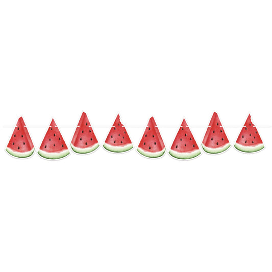 Beistle Watermelon Streamer 6 in  x 5' (1/Pkg) Party Supply Decoration : Spring/Summer