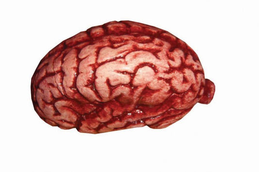 BRAIN LATEX