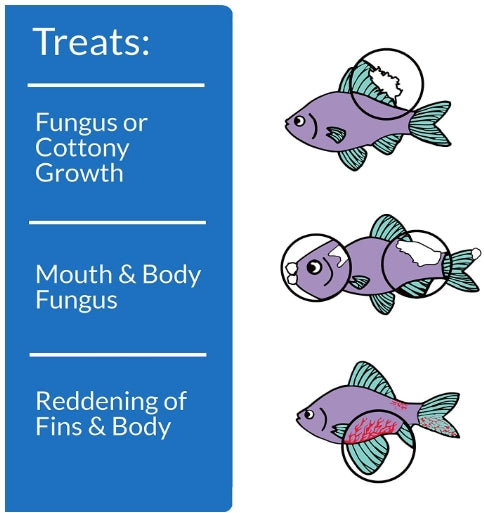 API Pimafix Treats Fungal Infections for Freshwater and Saltwater Fish