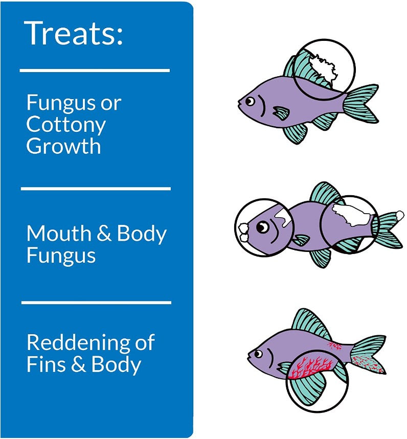 API Pimafix Treats Fungal Infections for Freshwater and Saltwater Fish