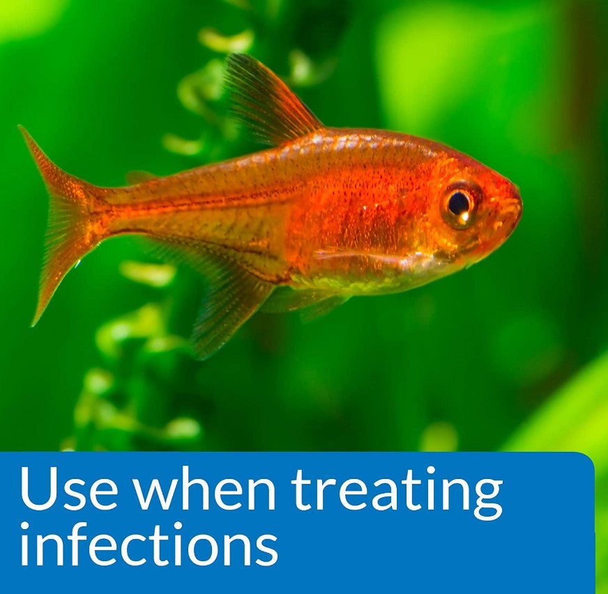 API Pimafix Treats Fungal Infections for Freshwater and Saltwater Fish