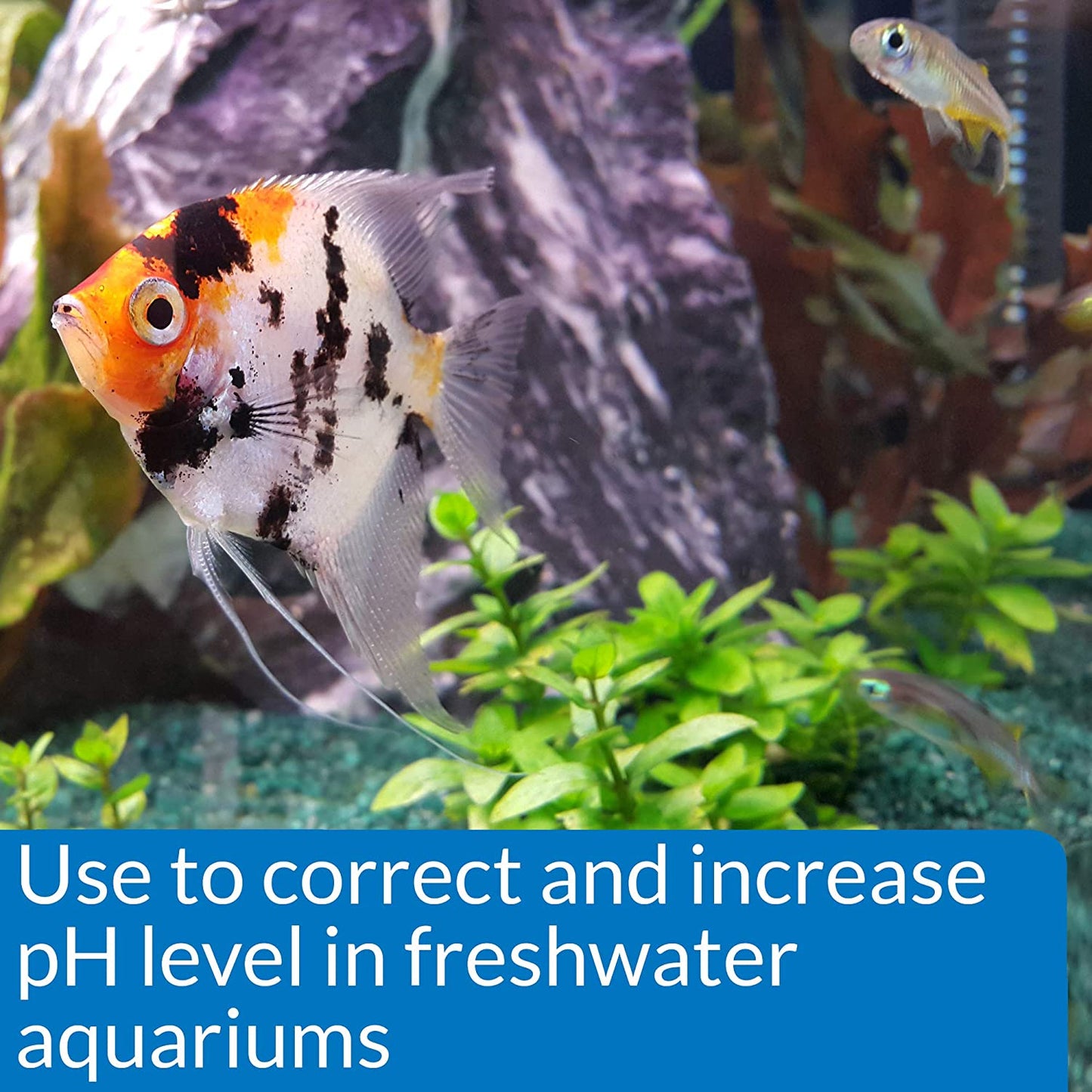 API pH Up Raises Aquarium pH for Freshwater Aquariums