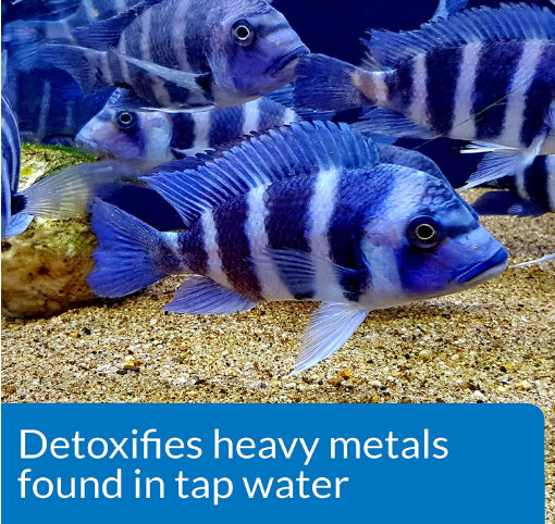 API Tap Water Conditioner Detoxifies Heavy Metals and Dechlorinates Aquarium Water