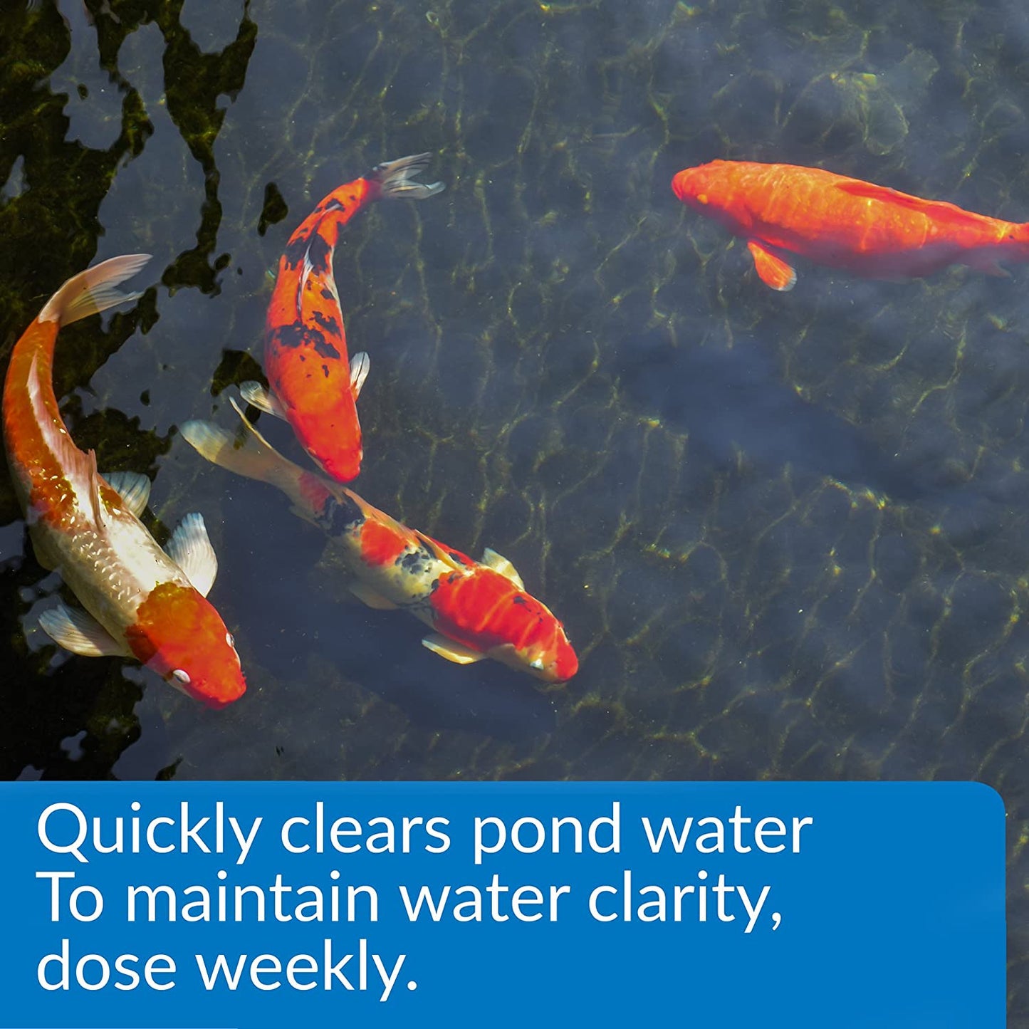 API Pond Accu-Clear Quickly Clears Pond Water