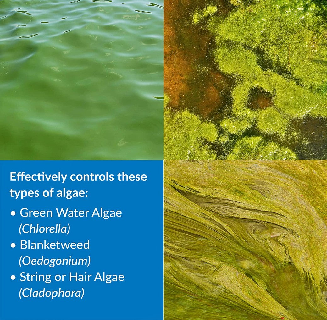 API Pond AlgaeFix Controls Algae Growth and Works Fast