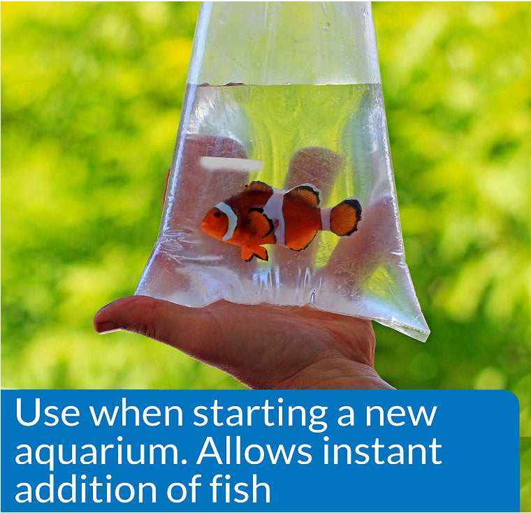 API Marine Quick Start Allows Instant Addition of Fish