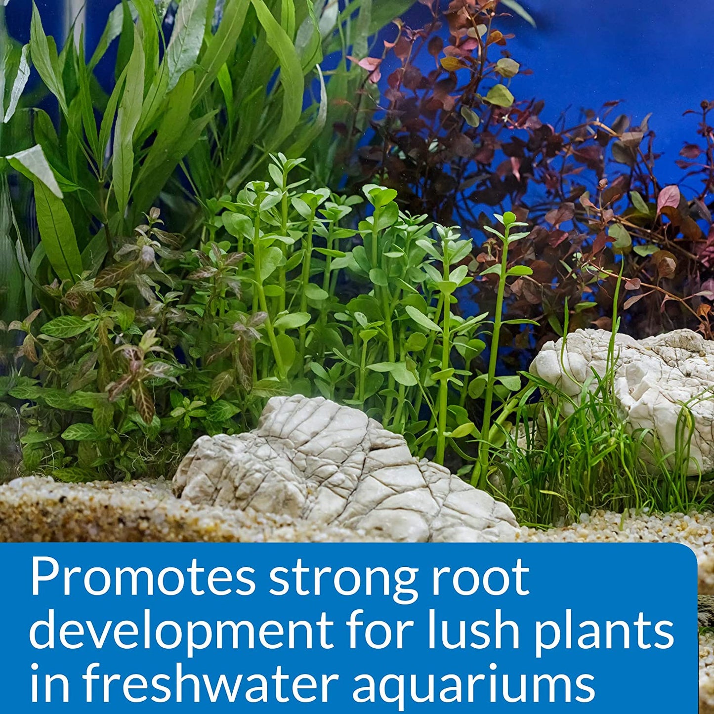 API Root Tabs Plus Iron Promotes Lush Growth of Aquarium Plants