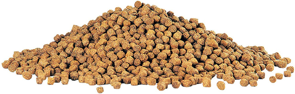 Aqueon Cichlid Food Medium Pellets Slow Sinking Pellets