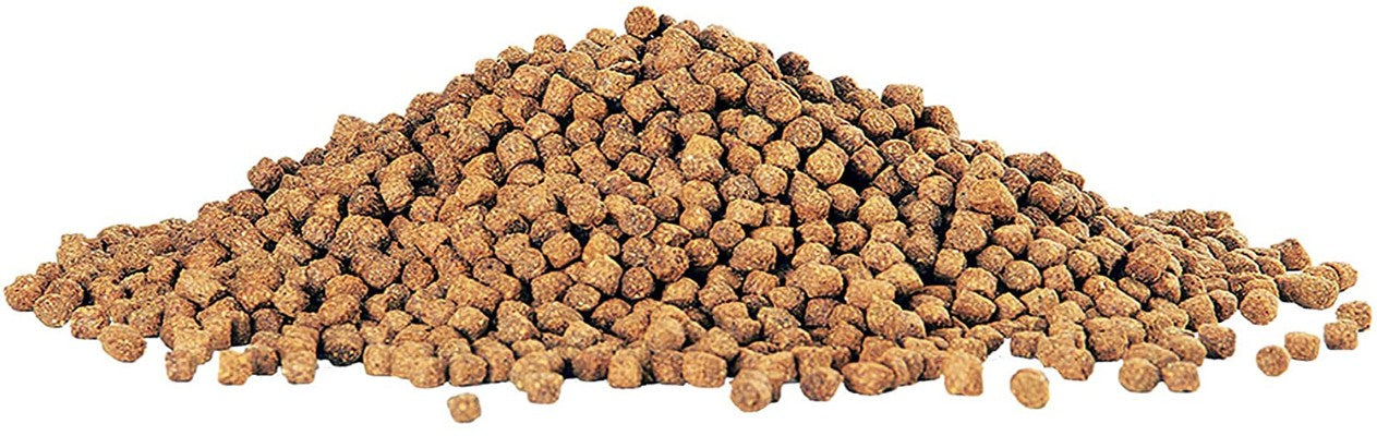 Aqueon Cichlid Food Medium Pellets Slow Sinking Pellets