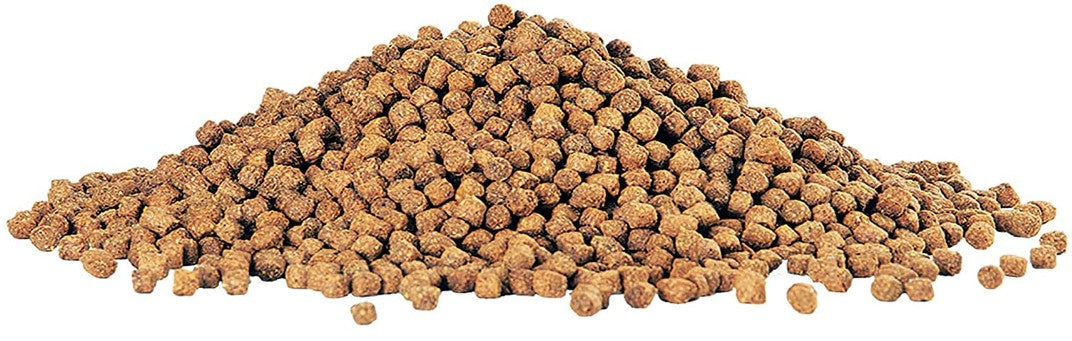 Aqueon Cichlid Food Medium Pellets Slow Sinking Pellets