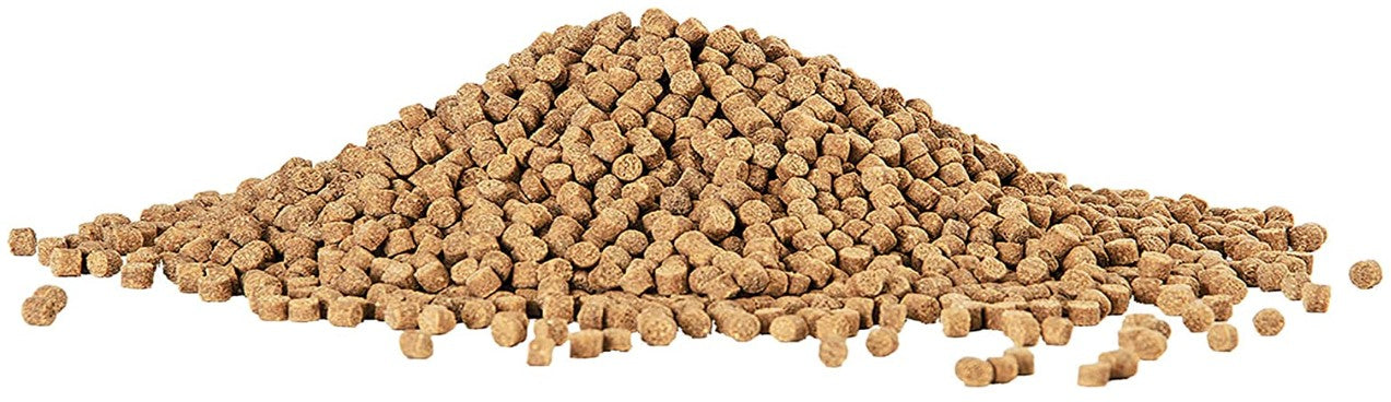 Aqueon Shrimp Pellets Fish Food Sinking Pellets for Tropical Fish and Bottom Feeders