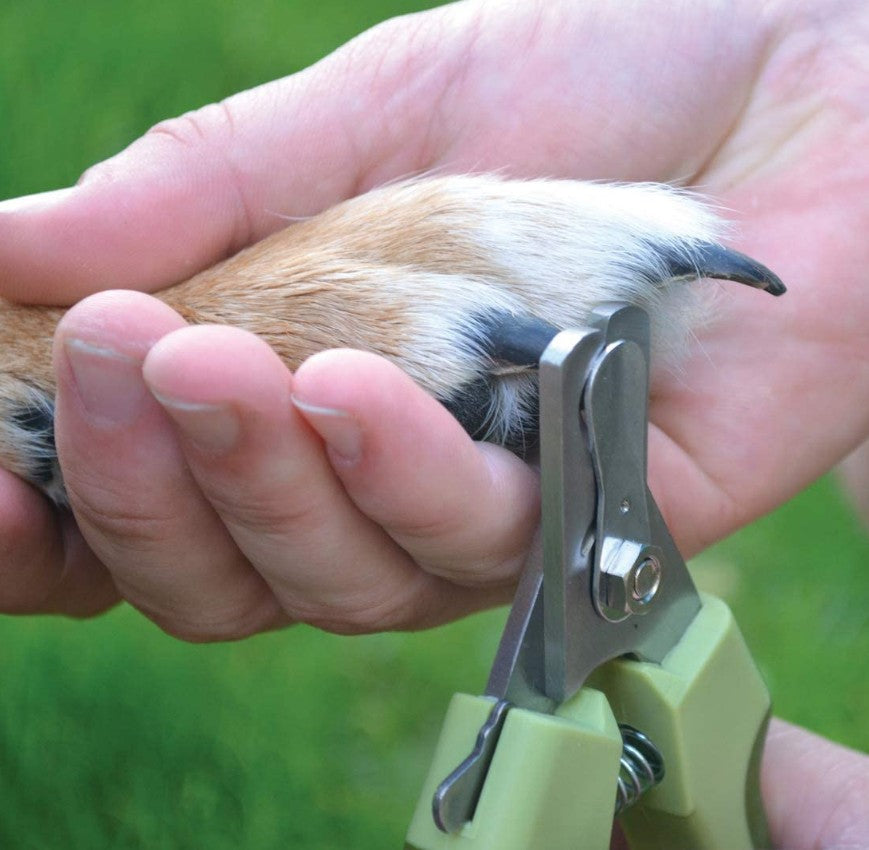 Safari Professional Stainless Steel Nail Clipper for Dogs