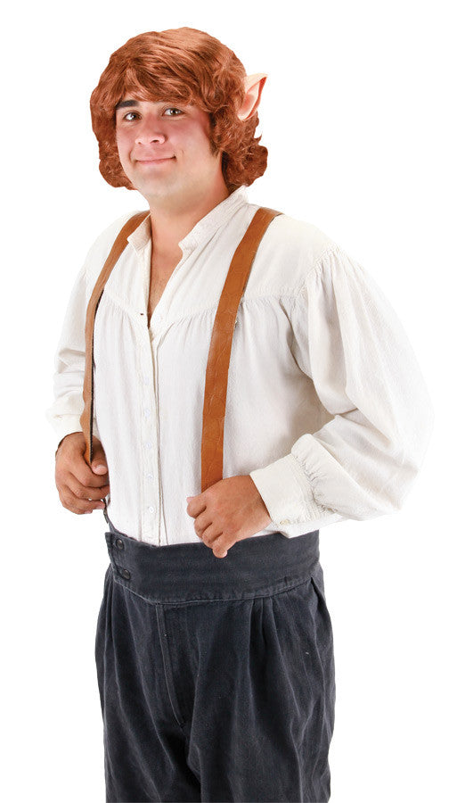 BILBO BAGGINS ADULT WIG WITH