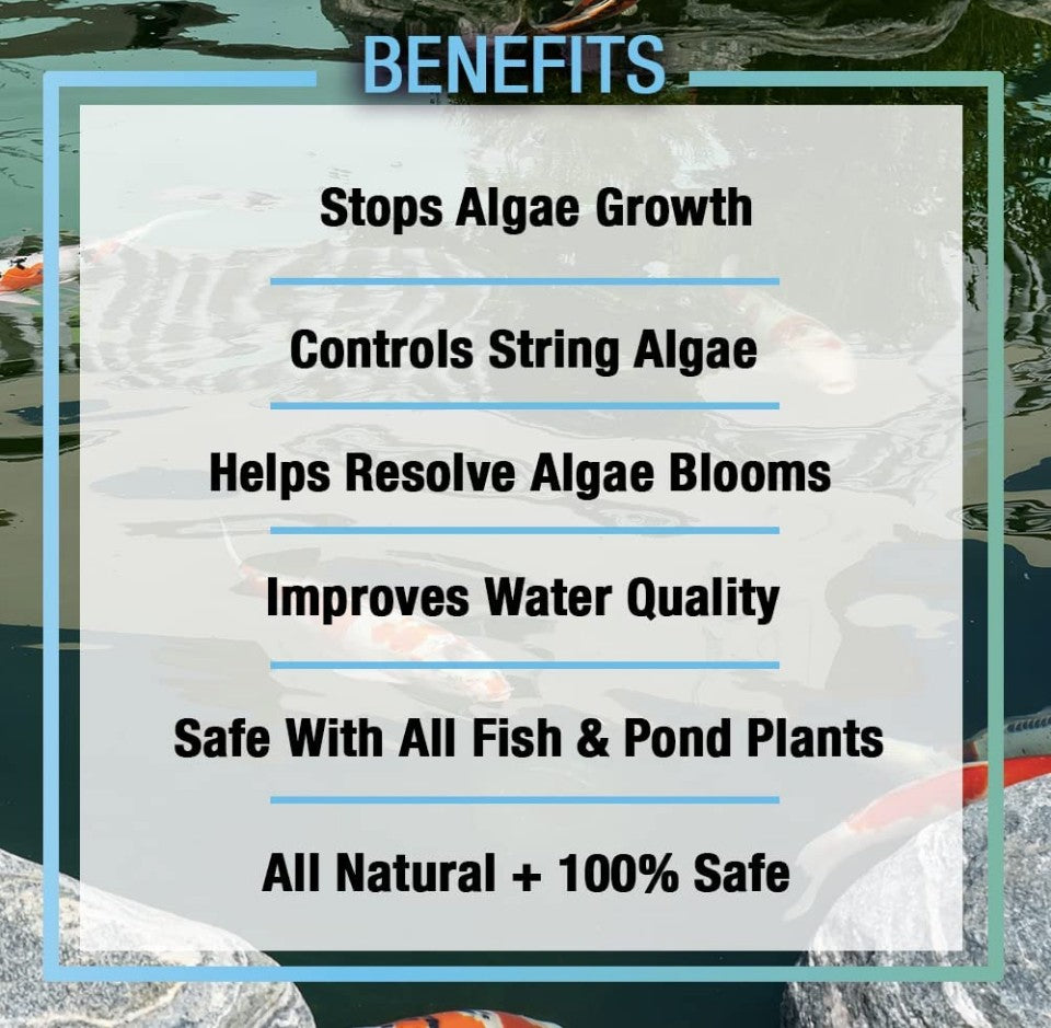 Microbe-Lift Pond Algaway 5.4 Algaecide for Ponds Stops Algae Growth