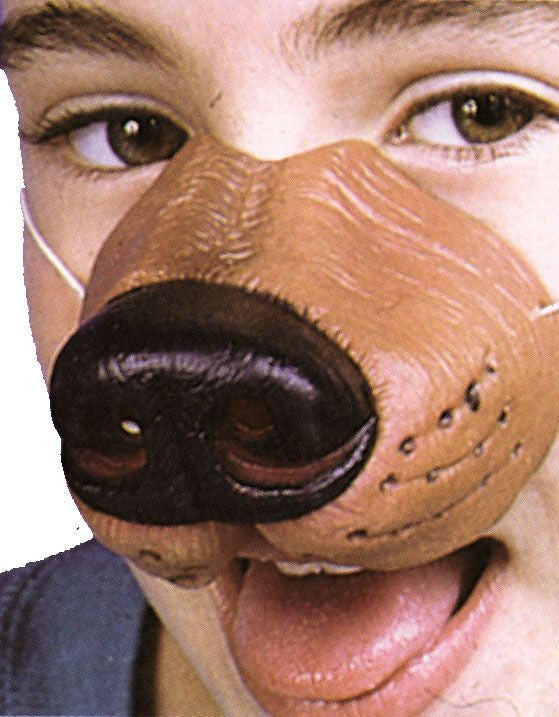 NOSE DOG W ELASTIC