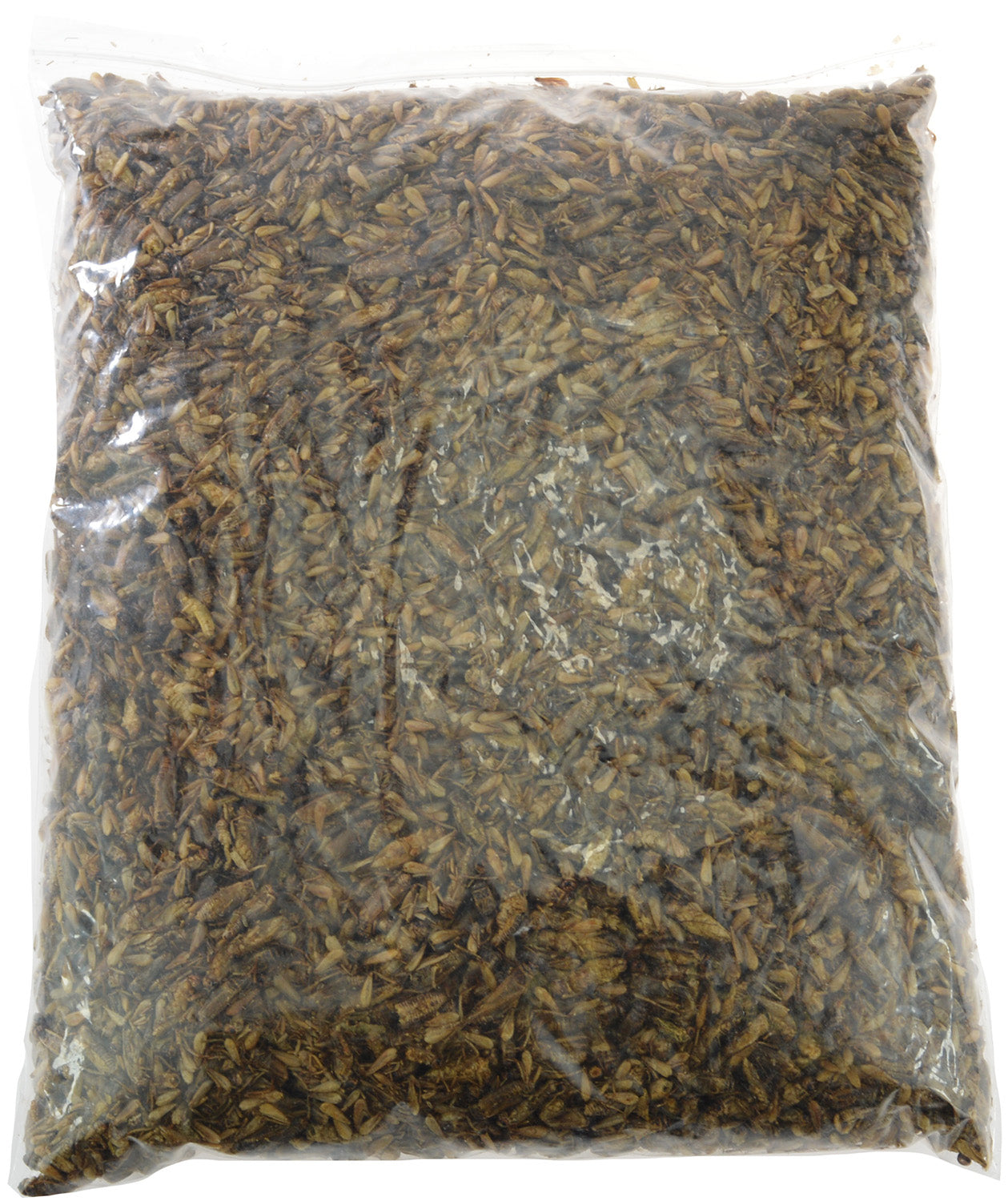 Flukers Freeze-Dried Crickets Gut Loaded with Calcium for Reptiles, Birds and Tropical Fish