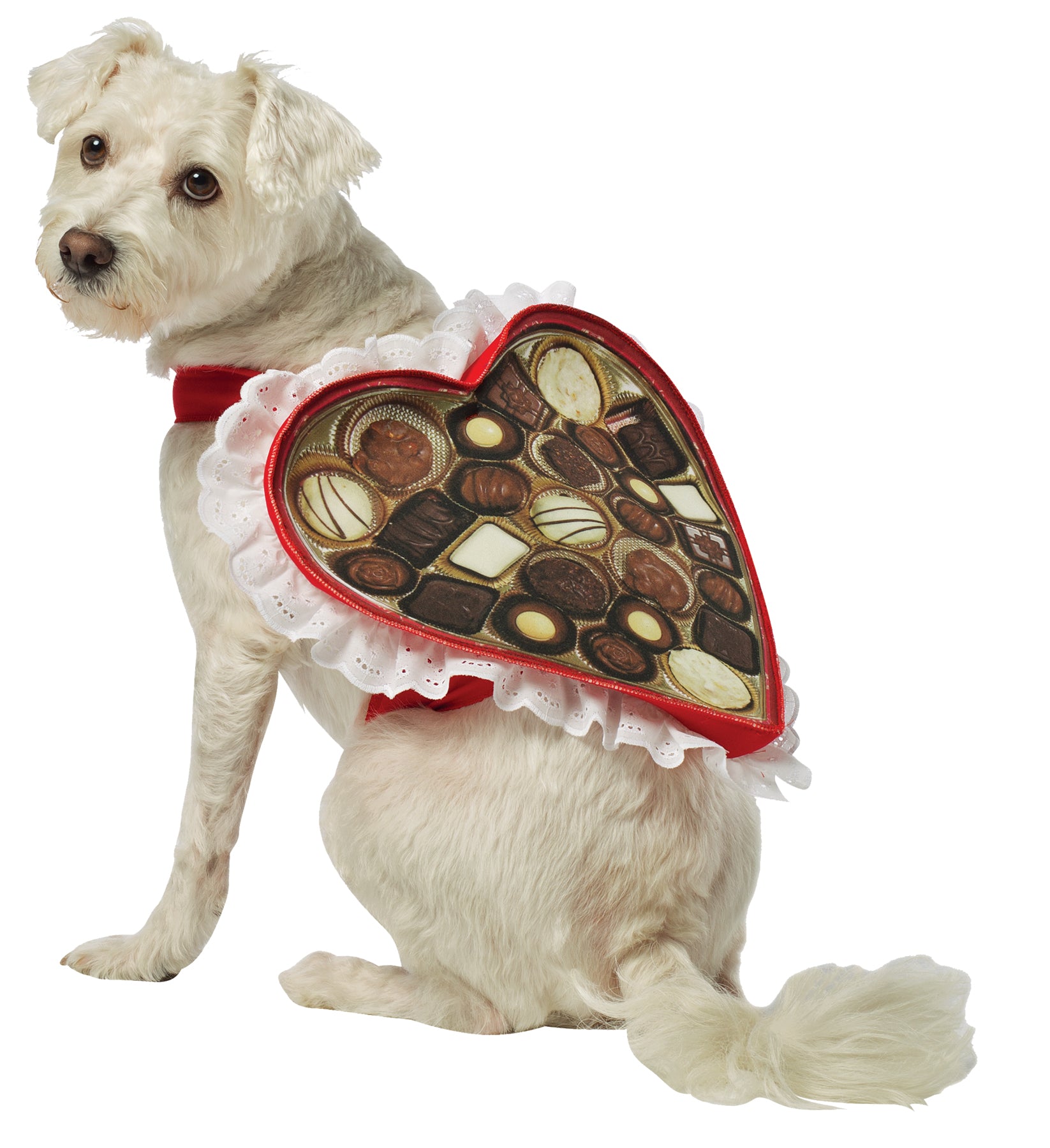 Chocolate Box Dog Costume Xs