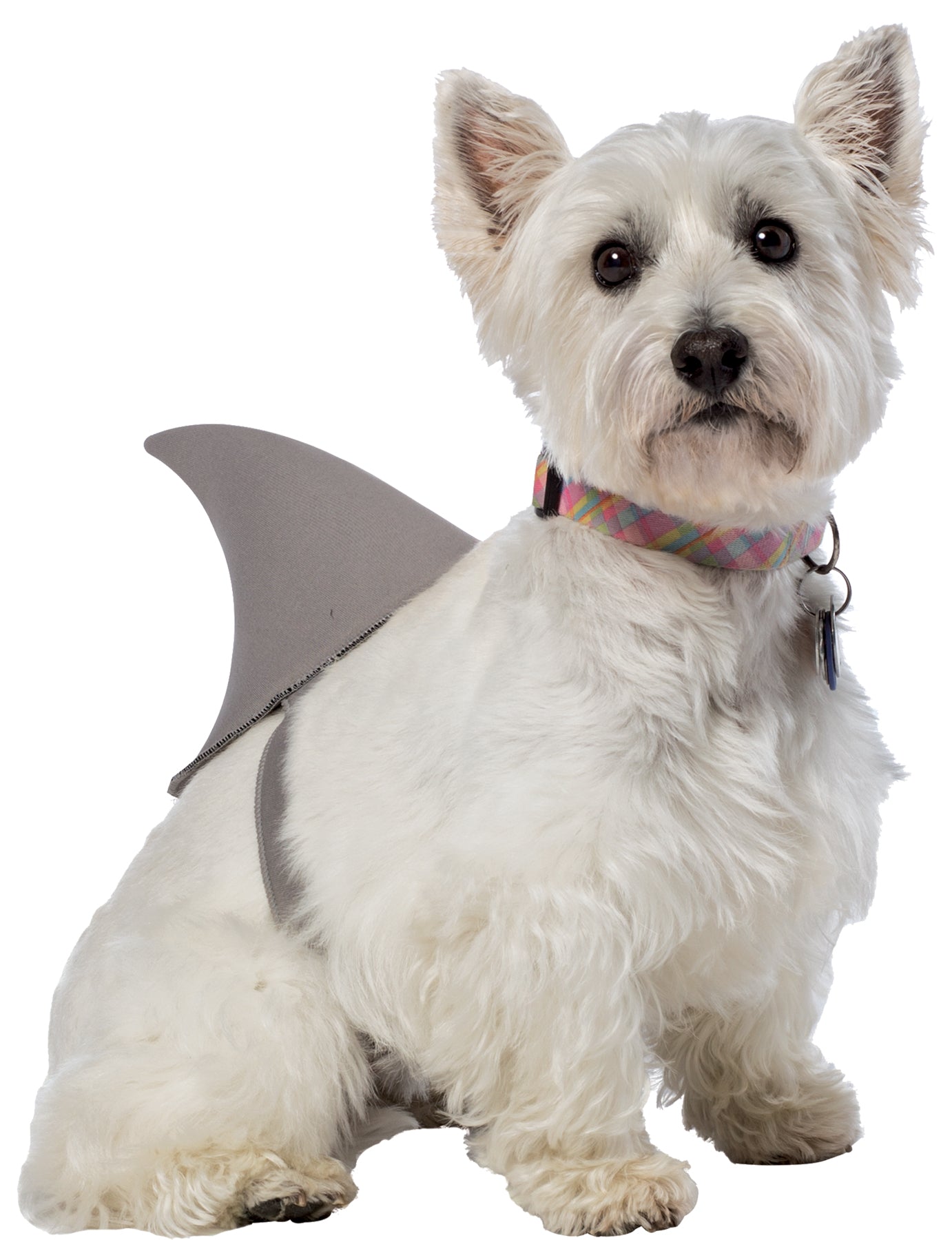 Shark Fin Dog Costume Xl/Xxl