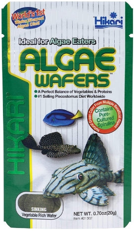 Hikari Algae Wafers Sinking Vegetable Rich Wafers