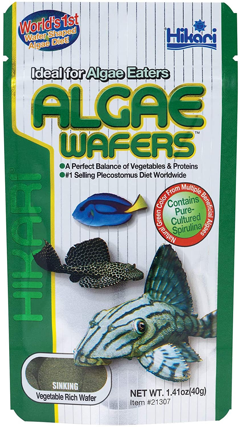 Hikari Algae Wafers Sinking Vegetable Rich Wafers