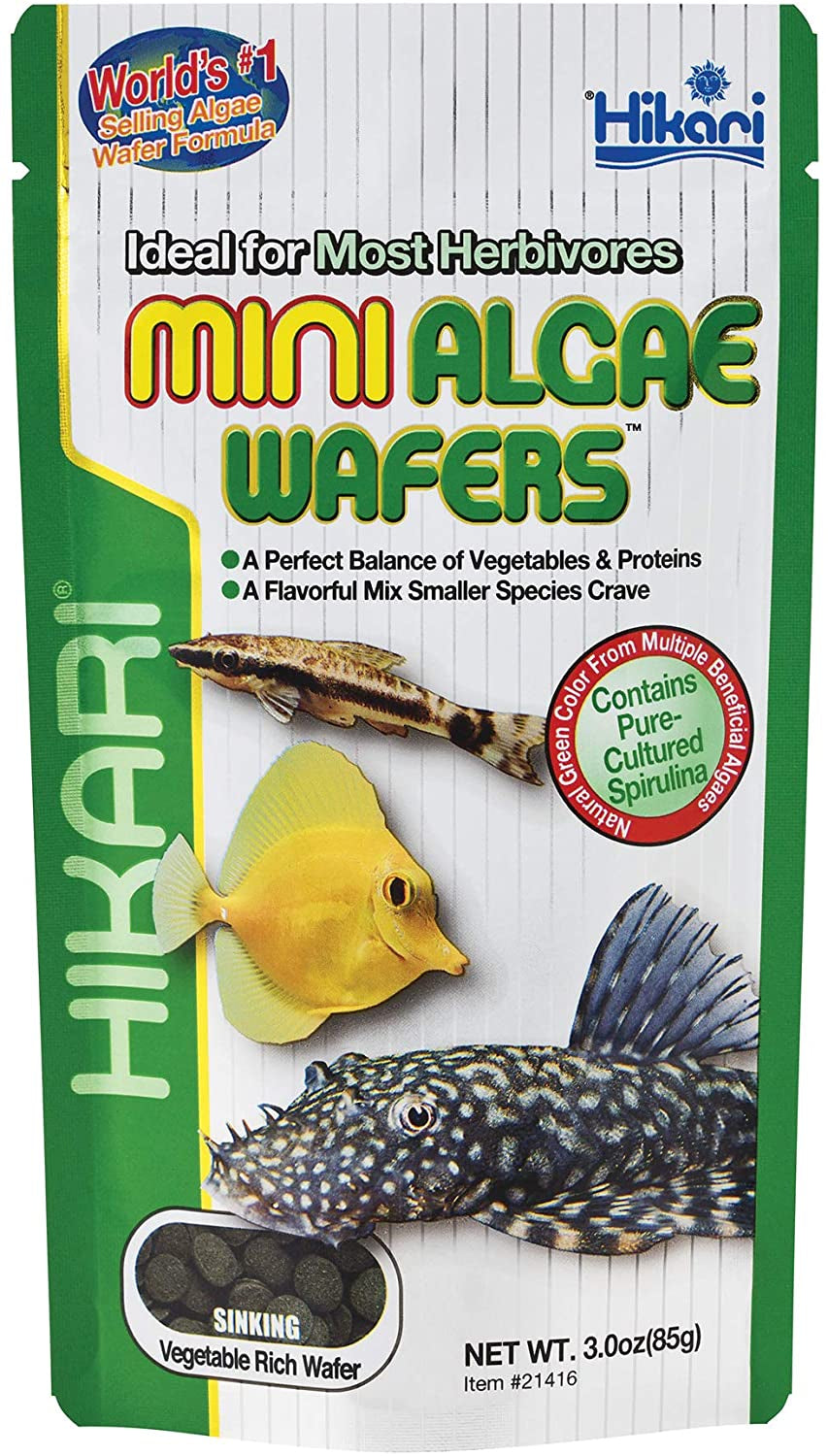 Hikari Mini Algae Wafers Sinking Herbivore Food