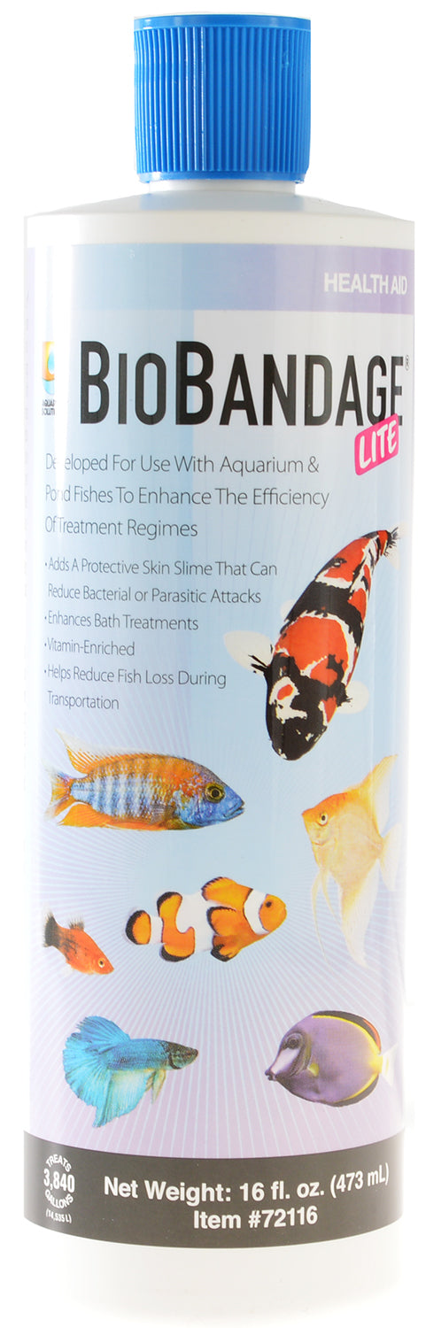 Hikari Bio Bandage Lite Adds Protective Skin Slime for Aquarium and Pond Fish