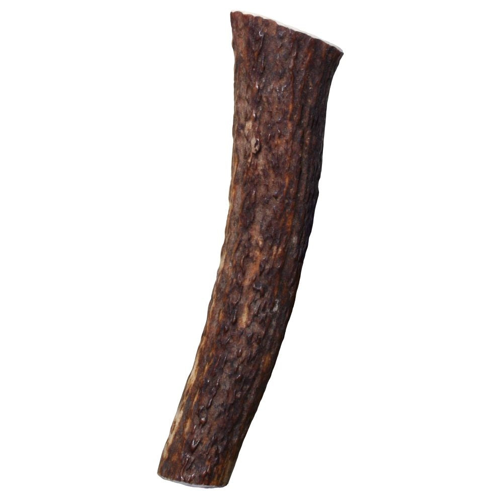 KONG Wild Whole Elk Antler for Dogs Large