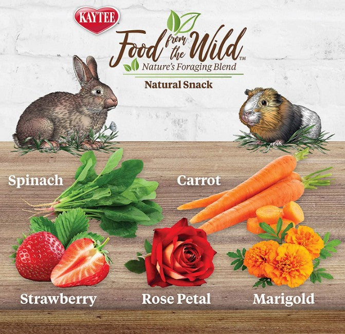 Kaytee Food From The Wild Treat Medley Rabbit / Guinea Pig