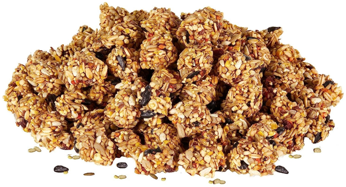 Kaytee Granola Bites with Super Foods Cranberry, Apple and Flax