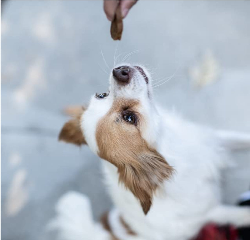 Loving Pets Deli-Licious Deli Style Treats Pastrami Recipe