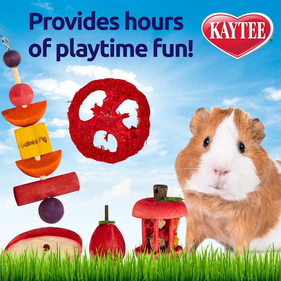 Kaytee Chew & Treat Toy Assortment for Guinea Pigs