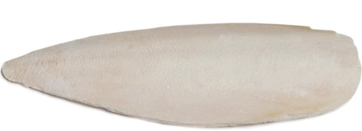 Prevue Cuttlebone Birdie Basics Small 4" Long