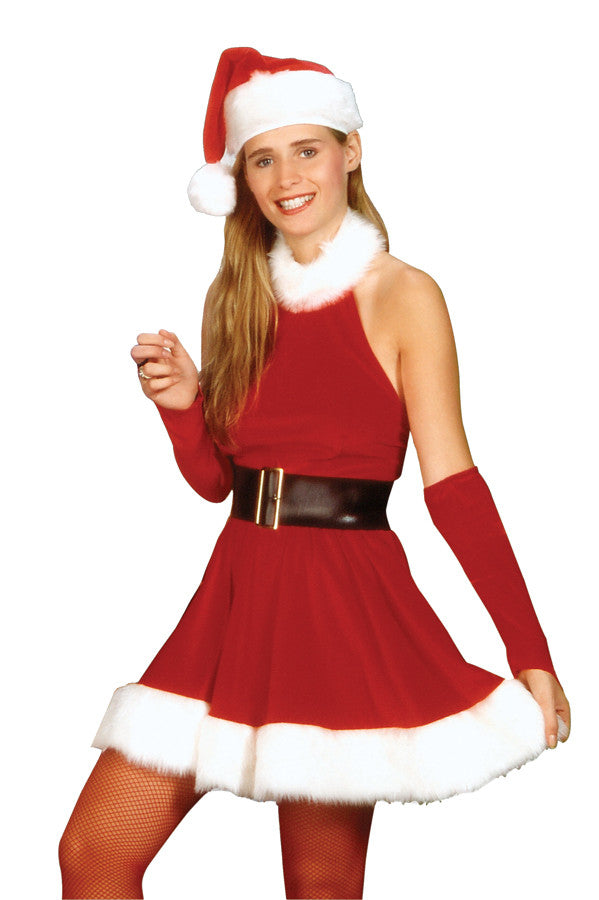 Santa's Inspiration Adult Women's Costume - Small Size 6-8