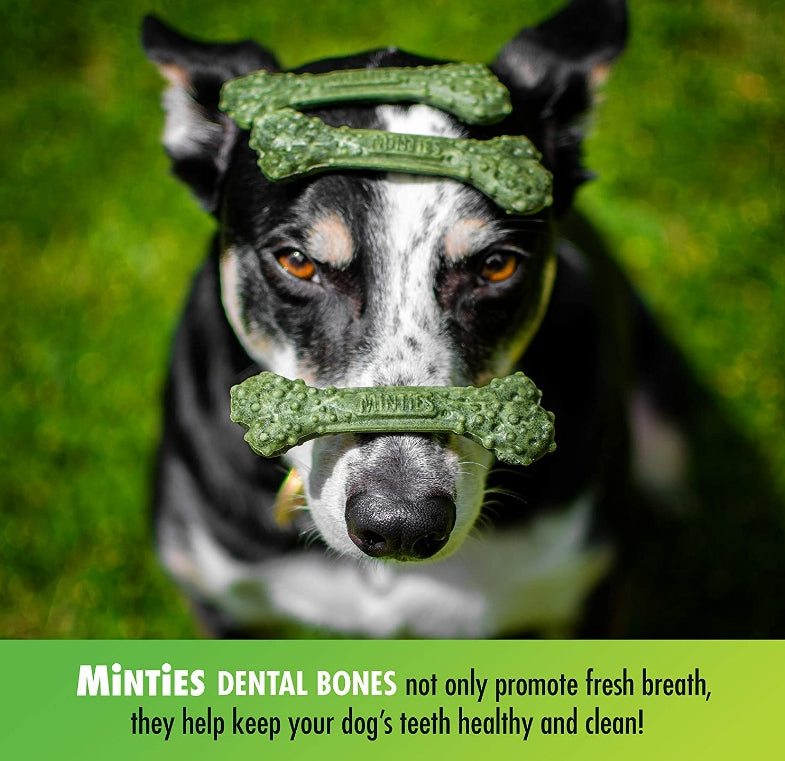 Sergeants Minties Dental Treats for Dogs Tiny Small