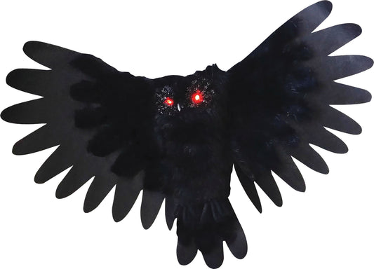 Animated Owl