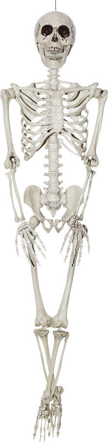 SKELETON 36 INCH