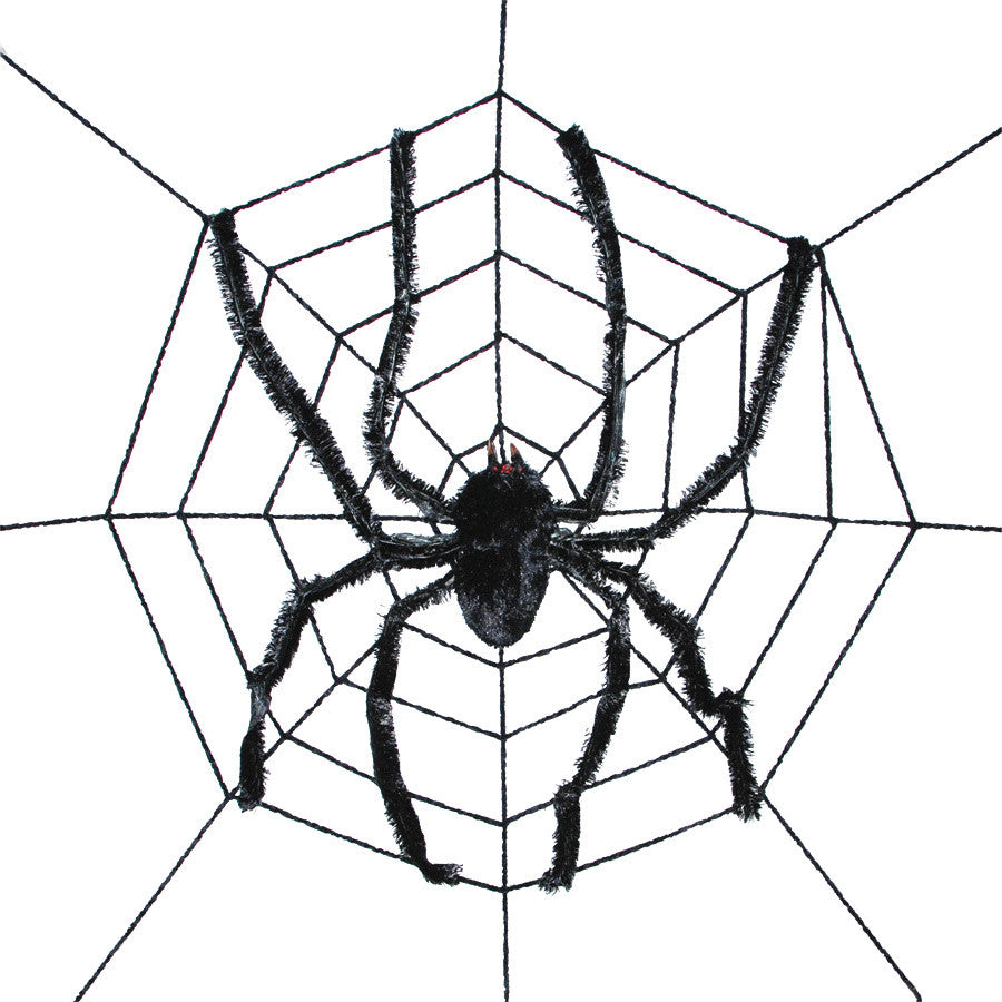 SPIDER WEB WITH SPIDER