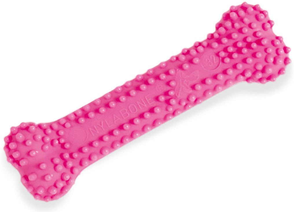 Nylabone Puppy Chew Dental Bone Pink