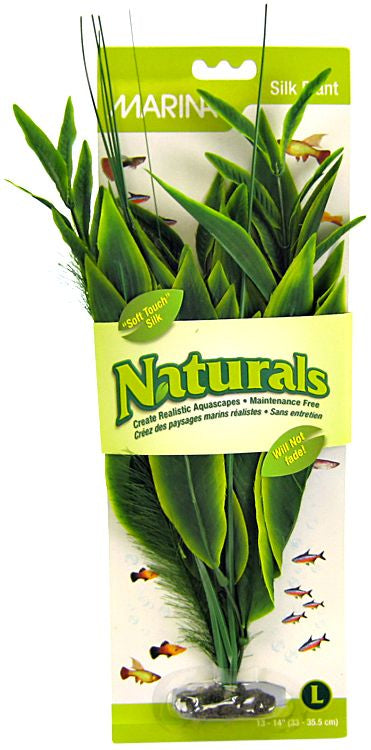 Marina Naturals Dracena Silk Plant