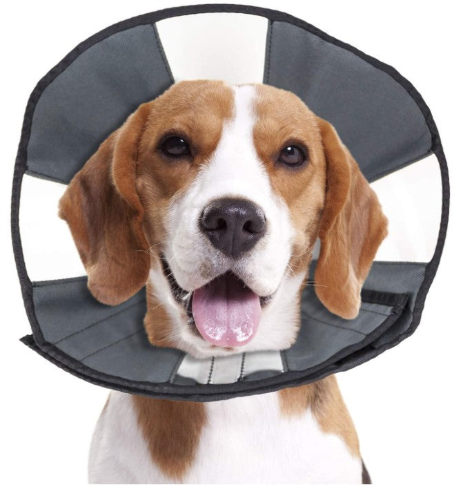 ZenPet Zen Cone Soft Recovery Collar