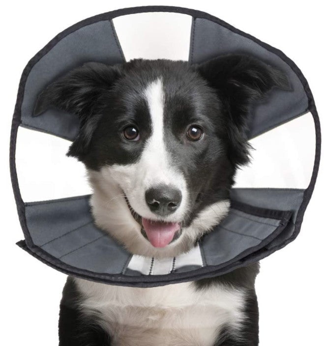 ZenPet Zen Cone Soft Recovery Collar