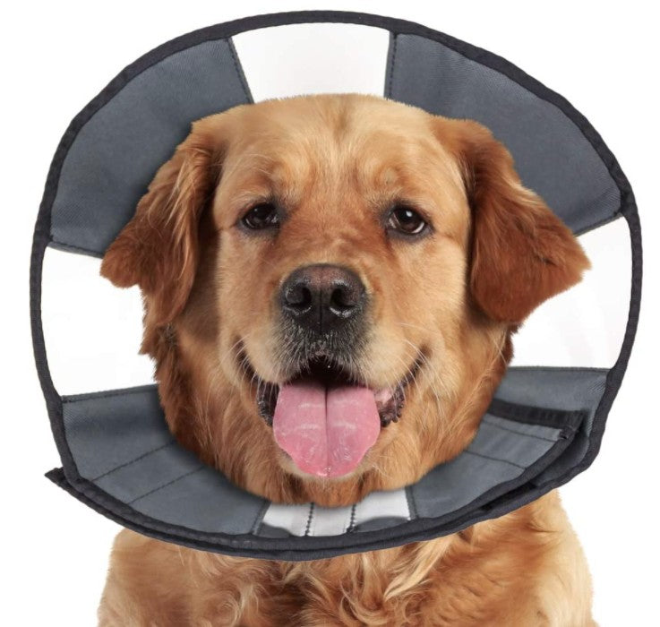 ZenPet Zen Cone Soft Recovery Collar